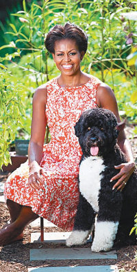 애견 ‘보’와 함께 백악관은 17일 미셸 오바마 여사와 정원에 함께 있는 애견 ‘보(Bo)’의 사진을 공개했다. 미셸 여사는 “백악관에 메일을 보내는 어린이들은 대통령보다 ‘보’의 안부를 더 궁금해 한다”며 “앞으로 어린이들에게는 보의 사진을 넣어 답장을 해줄 계획”이라고 밝혔다. 사진출처 백악관 웹사이트