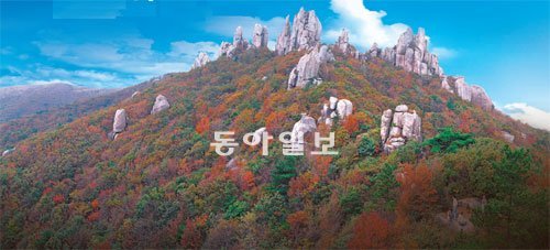 가을 정취가 물씬 풍기는 전남 장흥군 천관산. ‘장흥(長興)’을 한자어로 풀이하면 ‘길게 흥한다’는 의미로 장수(長壽)와 사뭇 통한다. 장수는 ‘건강’, 요샛말로 ‘참살이’로 표현할 수 있다. 웰빙의 고장인 전남 장흥군 천관산 일대에서 ‘2011 대한민국 통합의학박람회’가 28일부터 11월 6일까지 열린다. 장흥군 제공