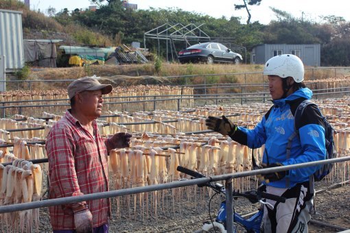 구룡포 북쪽 10km 지점에서 만난 오징어덕장. 오징어 내음이 진동하는 가운데 덕장 주인이 오징어 말리는 과정에 대해 설명해주고 있다. 올해는 수온이 낮은 탓에 오징어 어획량은 줄고 값은 올랐다고.