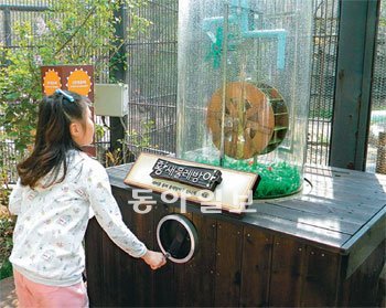 31일 경기 과천시 막계동 서울동물원에서 한 어린이가 황새 우리 앞에 설치된 ‘황새 물레방아’를 이용해 황새에게 미꾸라지를 주고 있다. 서울동물원 제공