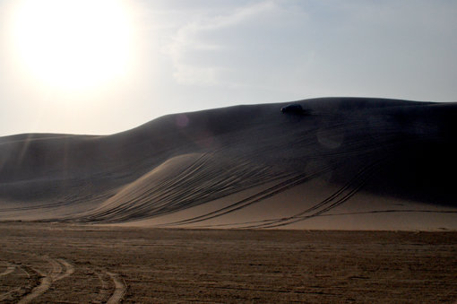 짜릿한 사파리 투어를 경험할 수 있는 카타르 도하 사막.