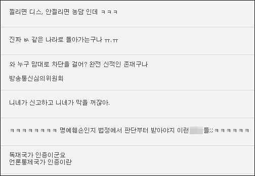 네티즌들 의견.