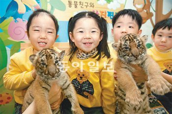 지난달 14일 서울어린이대공원 동물원에서 태어난 아기호랑이들이 어린이들 품에 안겨
있다. 아기호랑이를 만날 수 있는 동물체험 프로그램은 23일 시작한다. 서울시설공단 제공