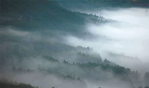 비 갠 뒤 산 계곡을 따라 피어오르는 산안개. 아름답다 못해 꿈인지 생시인지 모를 몽환적인 모습이 되어 인간의 눈을 현혹한다. 일본 규슈 유후인. 2011.김용흠 촬영