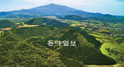 거문오름은 토해 낸 용암이 북동쪽으로 터져나와 말발굽 모습을 띠고 있다. 식물들은 용암바위에 뿌리를 내려야 하기 때문에 줄기보다 뿌리가 굵고 강하다. 멀리 한라산의 모습이 보인다. 사진 제공 제주도