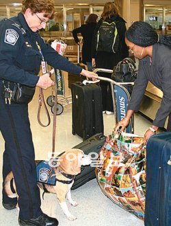 21일 오후 미국 수도 워싱턴의 관문인 덜레스국제공항(IAD) 세관 및 국경보호국(CBP) 소속 직원이 탐지견을 데리고 프랑스 파리발 에어프랑스 승객들의 짐을 검색하고 있다. 워싱턴=최영해 특파원 yhchoi65@donga.com