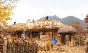 충남 아산의 성준경 가옥(중요민속문화재 제194호) 이엉잇기 모습. 충남도 제공