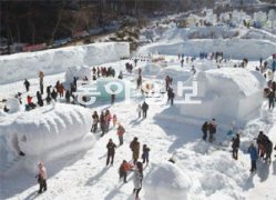 태백산 눈 축제, 이달 27일부터 내달 5일까지 태백산은 역시 겨울 눈꽃이 으뜸이다. 1994년부터 해마다 1월이면 눈 축제가 열린다. 2012년 임진년 흑룡의 해 눈 축제는 1월
 27일(금)부터 2월 5일(일)까지 태백산 일대에서 펼쳐진다. 국제눈조각전시회, 눈사람페스티벌, 눈으로 만든 그리스 파르테논 
신전, 눈밭미니축구대회, 앉은뱅이썰매대회, 오리 궁둥이 닮은 오궁썰매대회, 외발썰매대회, 개썰매대회, 태백산눈꽃등산대회…. 눈 
속에 파묻혀 어린아이 마음으로 한바탕 놀기에 안성맞춤이다. 왜 그렇게 아등바등 살았는지, 스트레스가 사르르 사라진다. 숙박 등은 
예약이 필수.