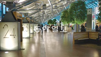 스웨덴 예테보리의 닐스에릭손 버스 터미널. 유리 지붕을 씌운 이 건물은 사용자와 환경, 디자인을 모두 고려한 이상적인 공간이다. 따뜻한 자연채광과 조명은 사람들에게도, 실내에 심어진 나무들에게도 생기를 준다. 안지훈 씨 제공