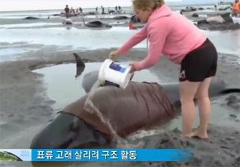 채널A 뉴스 ‘뉴스A’ 방송화면 캡쳐