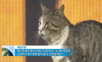 채널A 뉴스 ‘뉴스A’ 방송화면 캡쳐.