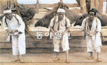 돼지를 지고 장에 가는 한국인 짐꾼. 20세기 초 한국을 방문한 외국인들이 가장 많이
남긴 사진 중 하나가 짐꾼의 모습이다. 잭 런던은 “한국인이 가장 잘하는 건 묵묵히 짐을
지는 것”이라고 말하기도 했다. 글항아리 제공