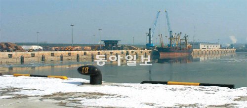 정부와 민간기업이 2007년 북항에 조성한 목재부두에 원목이 쌓여 있다. 한진중공업이 소유한 북항 배후지의 용도가 바뀌는 바람에 이
 땅을 빌려 입주한 70여 개 목재업체는 대체 용지를 마련하지 못해 어려움을 겪고 있다. 김영국 동아닷컴 객원기자 
press82@donga.com