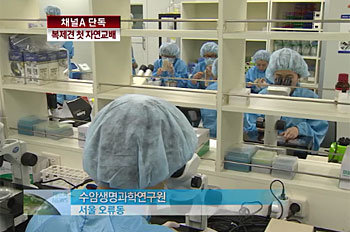 채널A 뉴스 ‘뉴스A’ 방송화면 캡쳐.