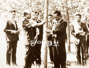 생전의 현신규 박사(왼쪽에서 나무를 만지고 있는 사람)가 박정희 대통령에게 자신이 육종한 리기테다소나무에 대해 설명하는 모습. 산림청 제공
