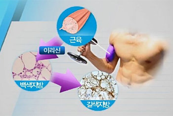 채널A 뉴스 방송화면 캡쳐.