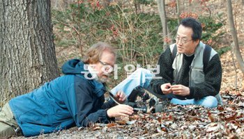 천진난만한 아이들 같다. 중년의 두 남성은 혹시 이른 봄소식에 이끌려 집을 나선 개미들이 있는지 연신 창덕궁 후원 이곳저곳을 헤집고 들춰봤다. 한참을 찾던 마크 머핏 박사(왼쪽)가 “한국에는 개미가 없어”라고 농담조로 말하자, 최재천 교수는 웃으며 “135종이나 있어”라고 받아쳤다. 김미옥 기자 salt@donga.com