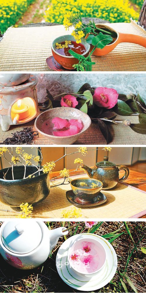위부터 유채꽃차,  동백꽃차, 산수유 꽃차, 복숭아 곷차.