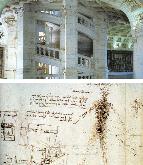 레오나르도 다빈치가 설계한 것으로 알려진 샹보르 성의 이중나선형 중앙계단(위). 인물과사상사 제공. 다빈치는 인체를 혈관과 신경으로 표현한 ‘혈관의 나무’라는 해부도(아래)를 남겼다.