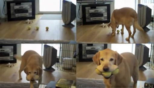 해당 영상 캡처