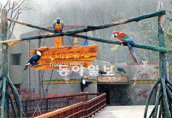 다음 달 말 개장할 서울동물원 열대조류관. 1345마리의 새가 자유롭게 날아다니는 모
습을 볼 수 있다. 홍진환 기자 jean@donga.com