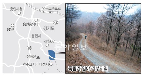 독림가 손창근 씨가 기부한 1000억 원대의 경기 안성시 양성면 일대 임야. 메타세쿼이
아 나무 등이 울창한 숲을 이루고 있다. 산림청 제공