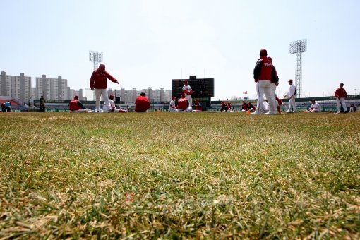 광주구장 그라운드는 천연잔디로 옷을 갈아입어 산뜻하게 변모했다. 올 시즌 8개구단은 저마다 700만 관중 시대를 위해 홈구장을 새 단장하고 팬들을 맞이한다. 스포츠동아DB