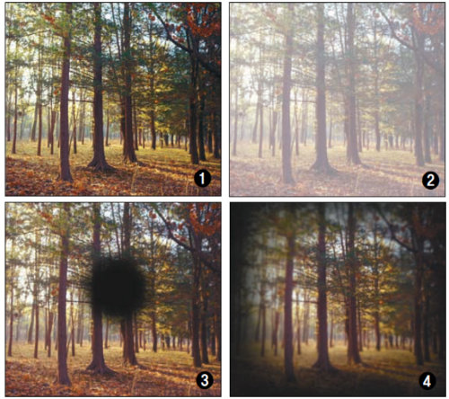 1. 정상인 눈에 비친 풍경=모든 사물이 선명하게 보인다. 2. 백내장 환자 눈에 비친 풍경=수정체 노화로 모든 사물이 뿌옇게 보인다. 3. 황반변성 환자 눈에 비친 모습=시신경 중심부 손상으로 가운데가 까맣게 보인다. 4. 녹내장 환자 눈에 비친 풍경=시신경 주변부 손상으로 주변이 깜깜하게 보인다. 대한안과학회 제공