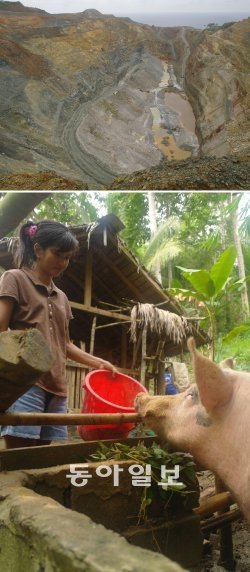 LG상사가 필리핀 동남쪽 라푸라푸 섬에서 운영하고 있는 구리 광산. 광산 너머로 푸른 바다가 보인다(위). 라푸라푸 섬 산타바바라 마을에 사는 다야나 발빈 씨가 LG상사가 기증한 돼지에게 먹이를 주고 있다. 이 돼지들은 광산 개발이 끝난 후 발빈 씨 가족의 생계를 책임질 자산이다.
