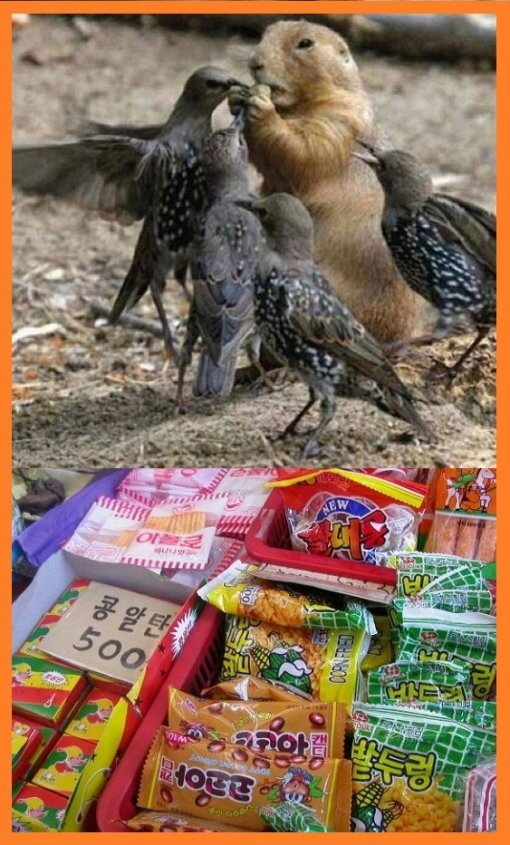 ‘교실에서 맛있는 거 먹을 때’ (출처= 커뮤니티 게시판)