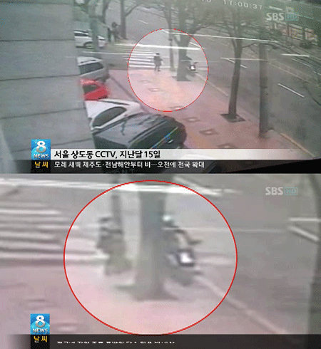 젊은 여성들의 스마트폰만을 골라 훔친 일명 블랙 스파이더맨이 경찰에 덜미를 잡혔다. 사진=SBS 방송화면 캡쳐