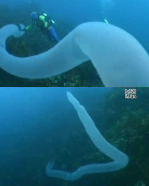 사진= 영상 캡처