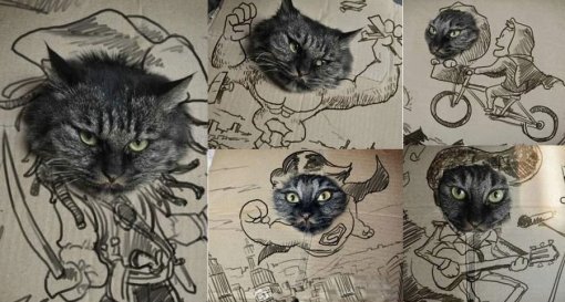 ‘그만해, 주인 놈아’ (출처= 커뮤니티 게시판)