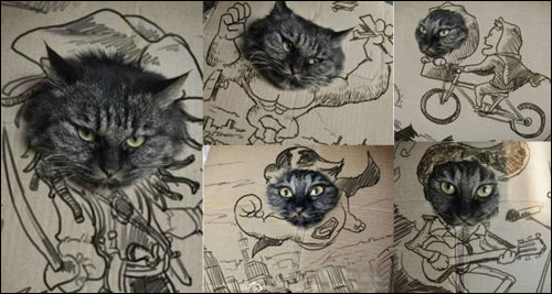 ‘그만해 주인 놈아’ 그림 화제