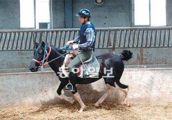 24개월 된 히메네스가 제주 난지축산시험장 마장을 달리고 있다. 히메네스는 조로(수말)와 비보라(암말) 간 계획교배로 태어났다.