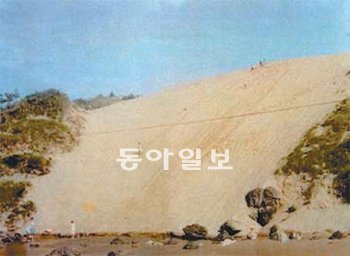 1988년 촬영한 풍성사구. 현재 풀과 소나무가 자라는 곳이 모두 모래로 돼 있는 등 온전한 해안사구 형태를 갖추고 있다. 국립공원관리공단 제공