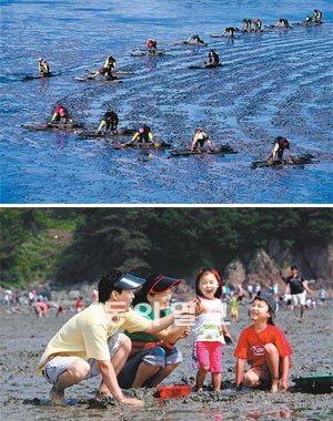 17일 부터 3일 동안 전남 신안군 증도를 찾으면 습지의 다양한 모습을 느끼고 체험할 수 있다. 국토해양부 제공