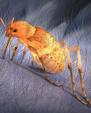 출처= 오레곤주립대학