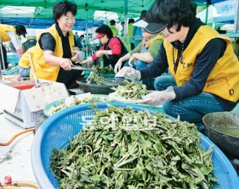 옥천 참옻순축제가 12, 13일 충북 옥천군 매화리 농심테마공원에서 열린다. 옥천군 제공