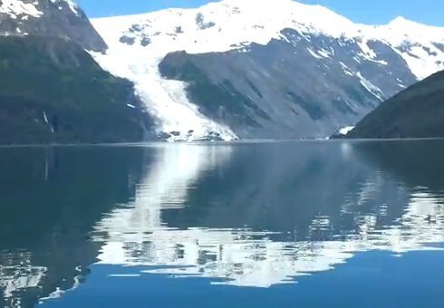 미국 호수 괴물 발견