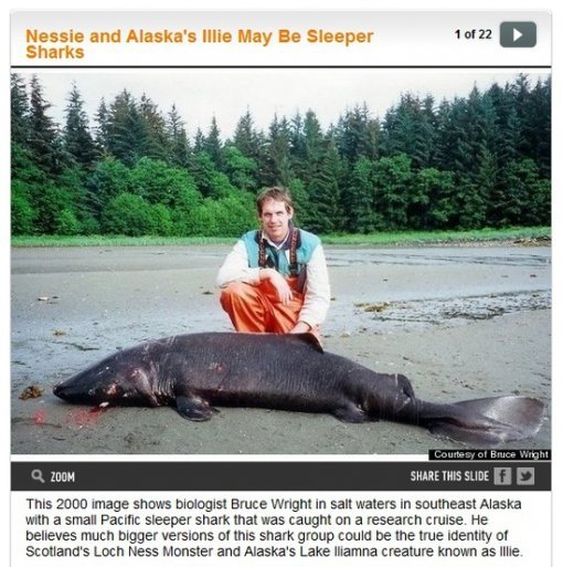 출처= 허필턴포스트 캡처