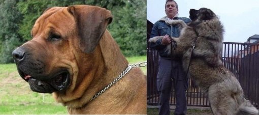 출처= 커뮤니티 게시판