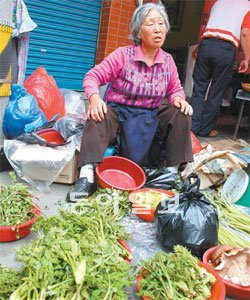 중부권지역 최대 5일장인 대전유성시장. 지난 9일 시장에서 만난 할머니가 “봄에는 두릅이 최고여. 살짝 데쳐 초고추장에 묻혀 먹으라”고 말한다.
