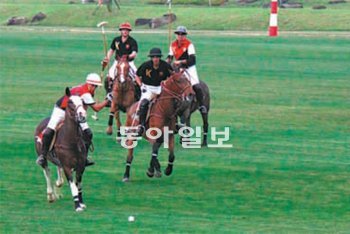 2010년 제주시 구좌읍 폴로경기장 개장 당시 국내외 폴로선수들이 시범경기를 벌였다. 임재영 기자 jy788@donga.com