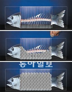 건국대 시각정보디자인학 석사 과정 최익환 씨와 서울시립대 에너지환경시스템공학 석사 과정 권은진 씨가 미국 ‘2012 원쇼(One 
Show) 국제광고제’에서 본상을 수상한 작품. 동전을 넣으면 넣을수록 뼈만 앙상했던 물고기의 비늘이 복구되는 모습을 표현했다. 
조건희 기자 becom@donga.com