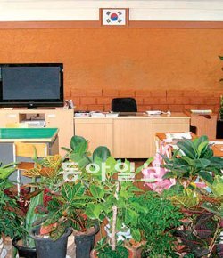 황토벽에다 식물의 화분이 가득한 상곡초등학교 교실. 상곡초 제공