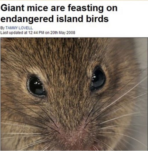 출처= 데일리메일