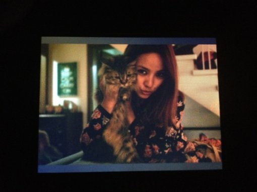 출처= 이효리 트위터