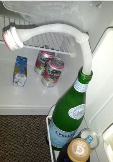 출처= 커뮤니티 게시판