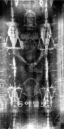 예수의 시신을 감쌌던 수의라고 알려진 ‘토리노의 수의’를 찍은 사진의 음화(감광액을 발라 현상한 것). 길이 4.36m, 폭 1.2m의 아마 천으로 예수처럼 보이는 남성의 형상이 또렷하게 보인다. 동아일보DB